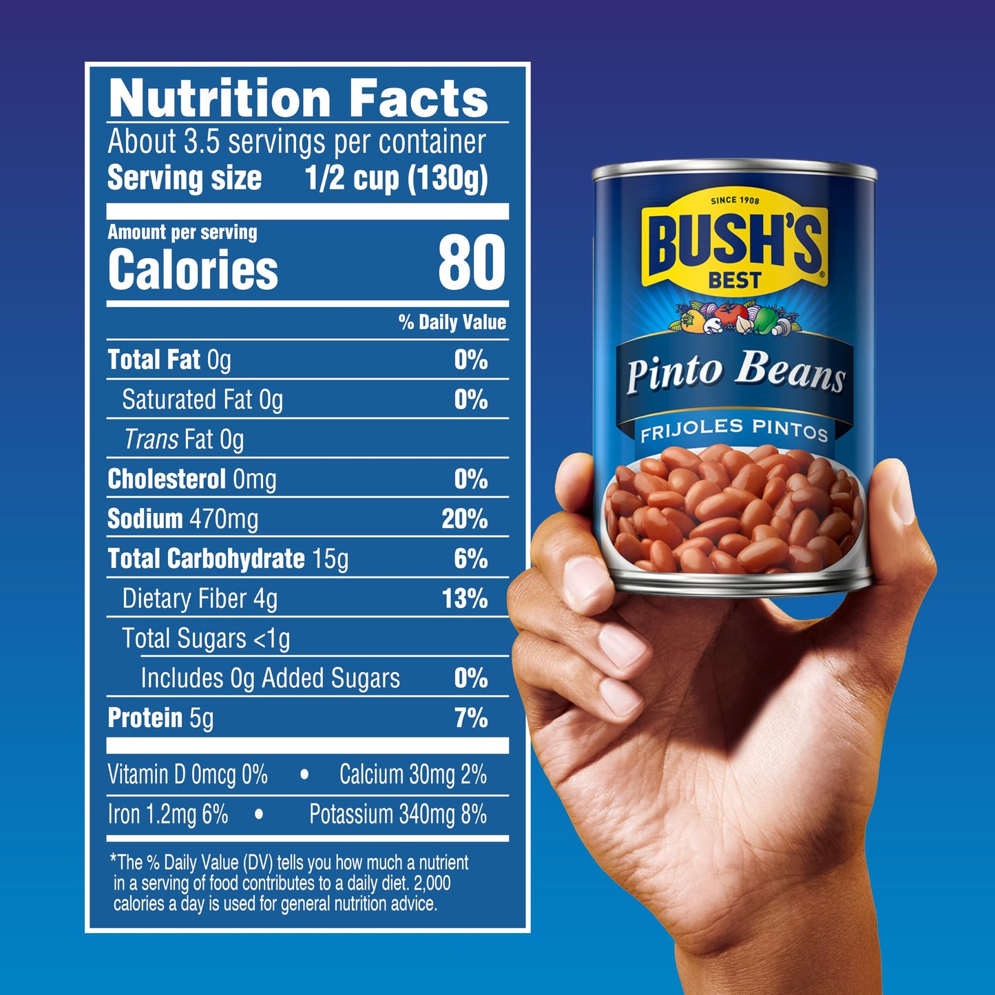 BUSH S BEST 16 oz Canned Pinto Beans, Source of Plant Based Protein and Fiber, Low Fat, Gluten Free, Great For Soups, Salads an