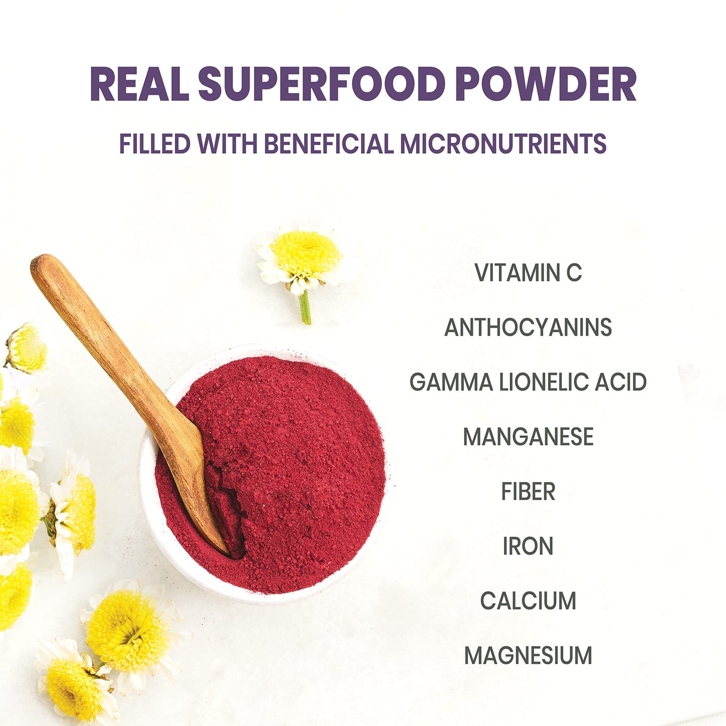 Jungle Powders Black Currant Powder 5 Ounce Bag Freeze Dried Currants Fruit Black Current Tea Juice, Black Currant Jam, Black Cu