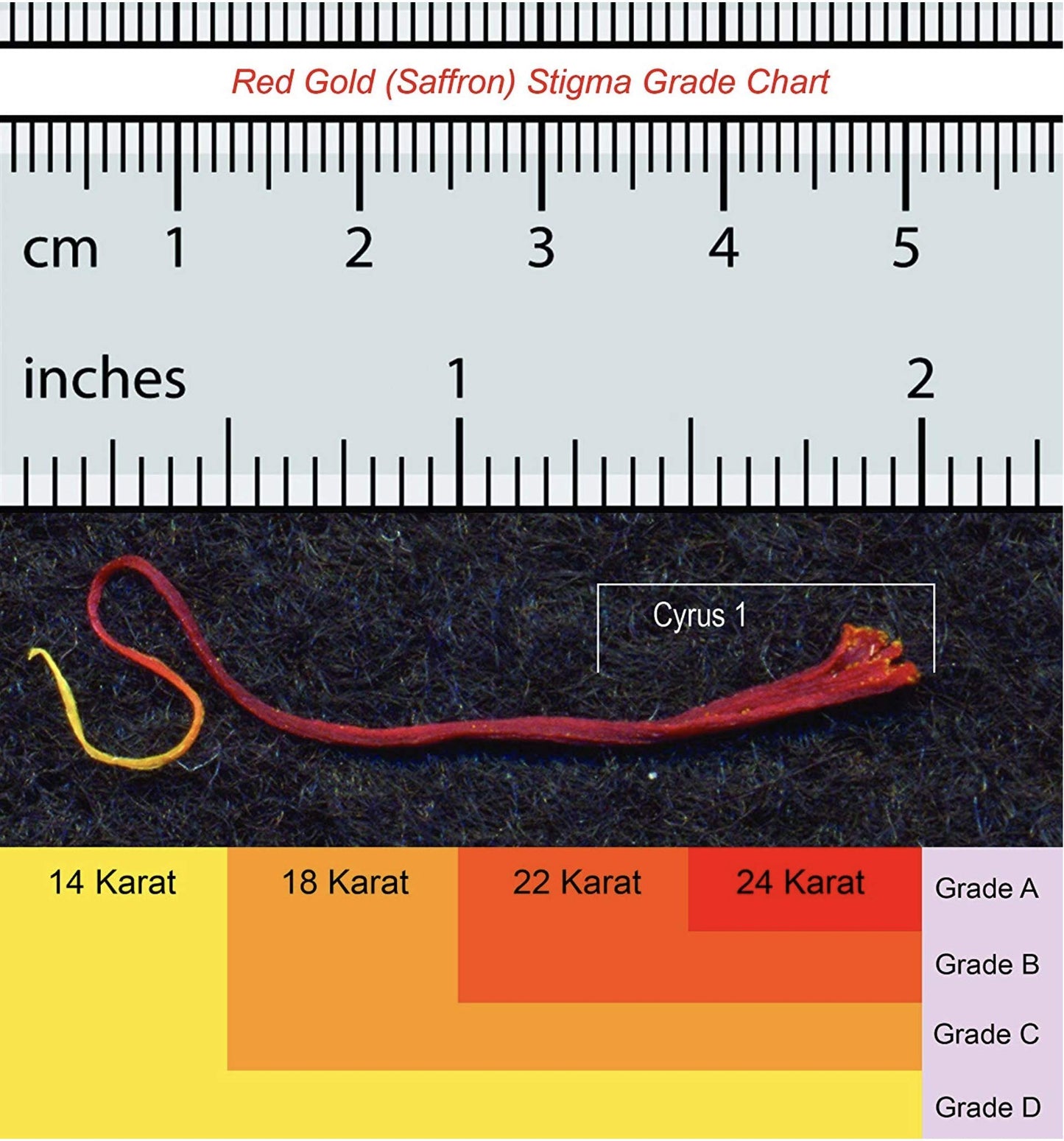 Cyrus Saffron Spanish Saffron 100% Pure Coupe 2 Gram - Aragon Spain