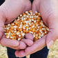 Preferred Popcorn Organic Popcorn, 28 Ounce Bag, Pack Of 4, 30 Servings Per Bag
