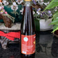 1 Pack - 60N Phu Quoc Premium Fish Sauce - Nuoc Mam Phu Quoc Dam Dac 60 Do Dam - 17 Oz
