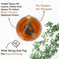 BREWIX Chocolate Rooibos Herbal Tea, 15 Pyramid Tea Bags, Naturally Caffeine-Free, Dessert-Inspired Blend