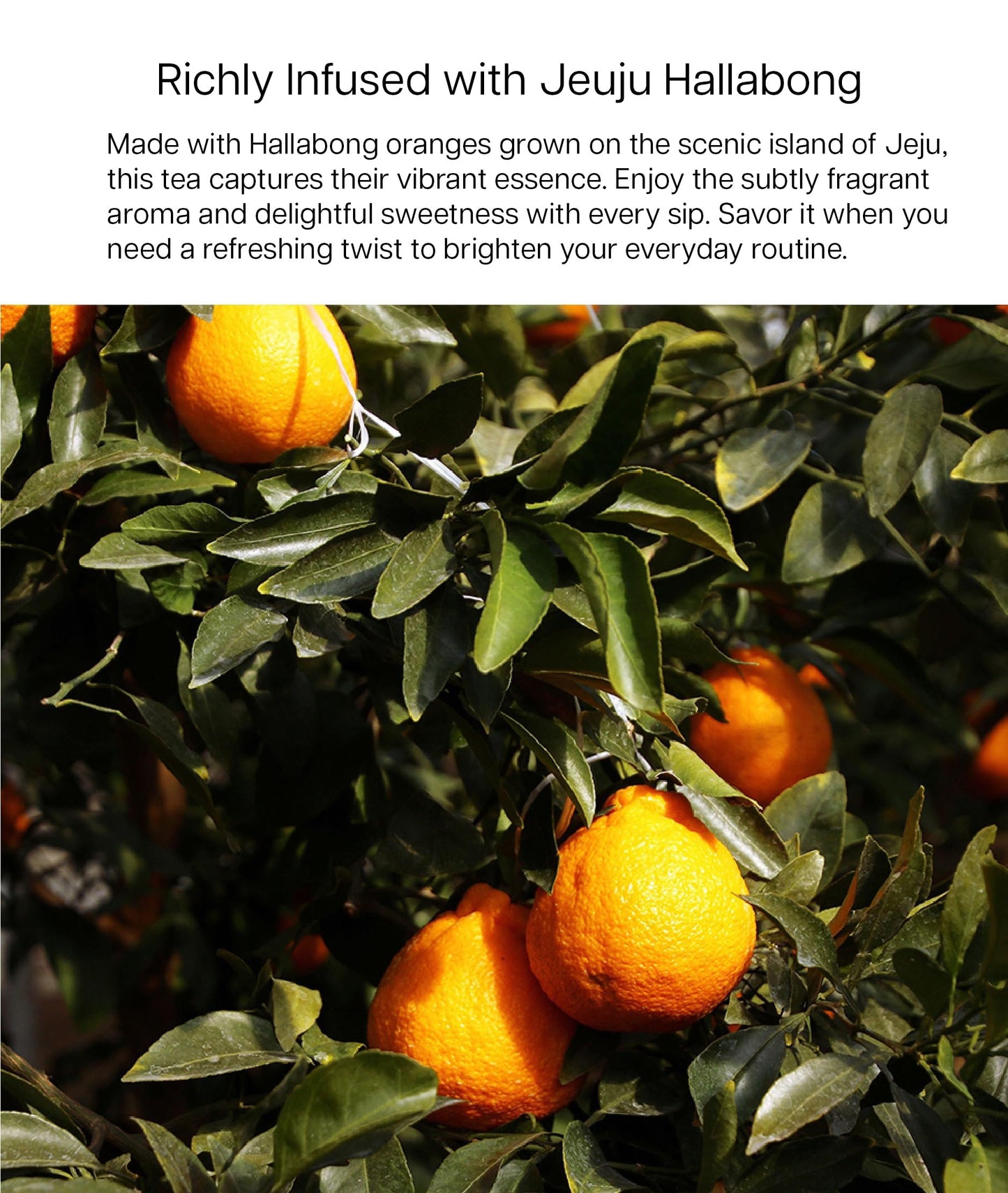 Damtuh Honey Jeju Hallabong Tangerine - Natural Sweetness With Real Tangerine Slices, No Artificial Additives - Perfect For Tea,