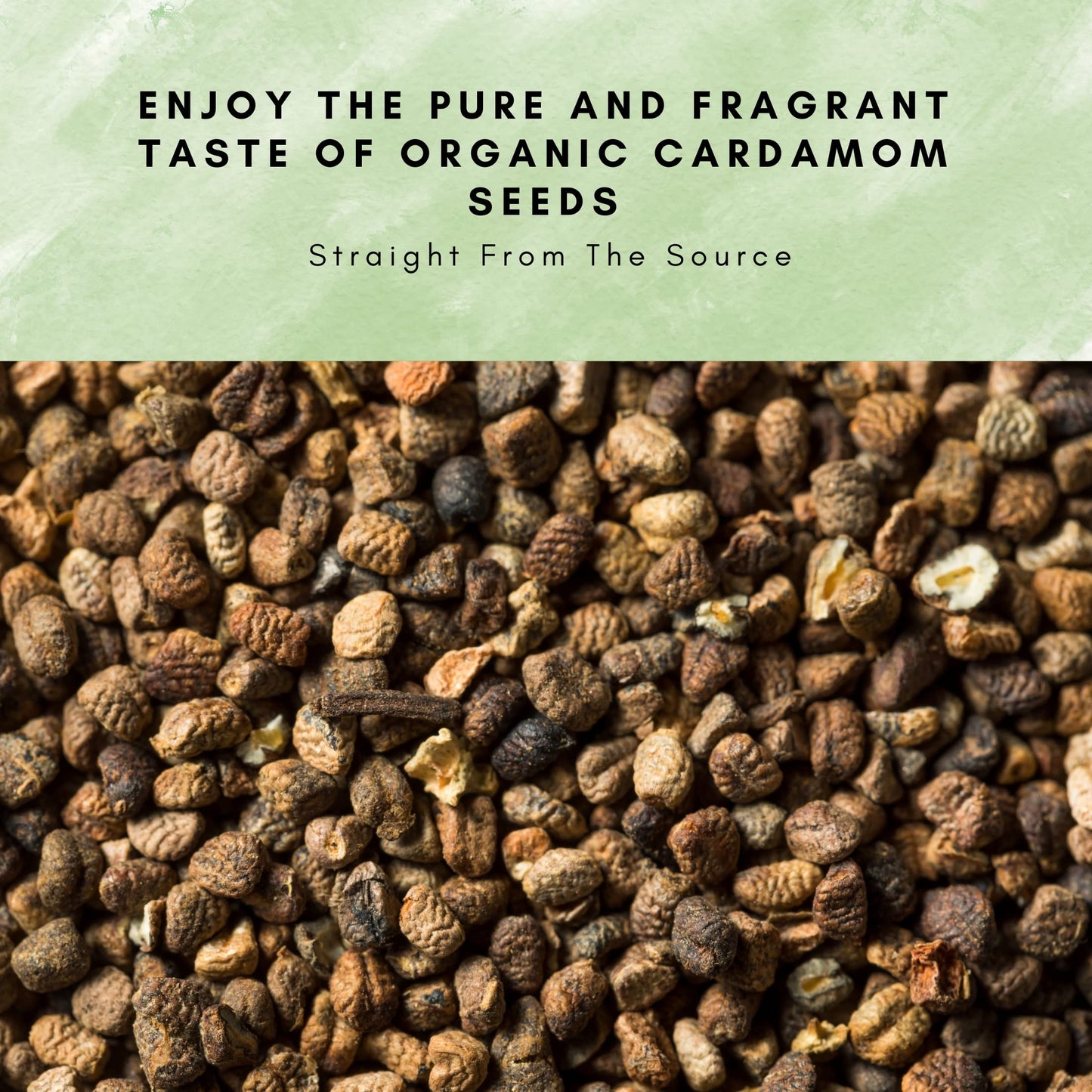SPICY ORGANIC Decorticated Organic Cardamom Seeds – 100% USDA Organic – 8 Oz.