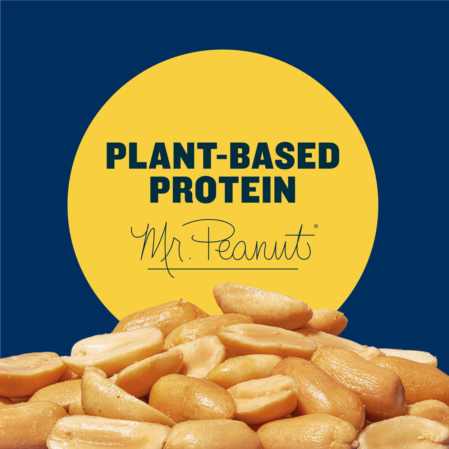 PLANTERS Dry Roasted Peanuts, Plant-Based Protein, Lightly Salted, 16 Oz Jar