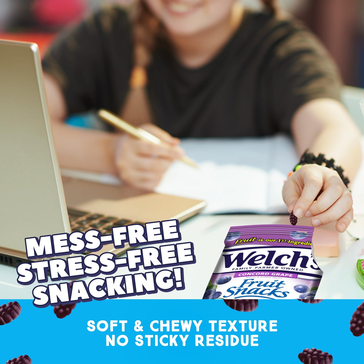 Welch s Fruit Snacks, Concord Grape Snack Box, Gluten Free, 5oz Snack Packs (Pack of 12)