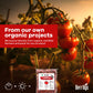 Sun-Dried Tomatoes, 2 LBS, USDA Organic, Berrilys, No Sulfur, No Preservatives, Seasalt is used as natural preservative, Raw, No