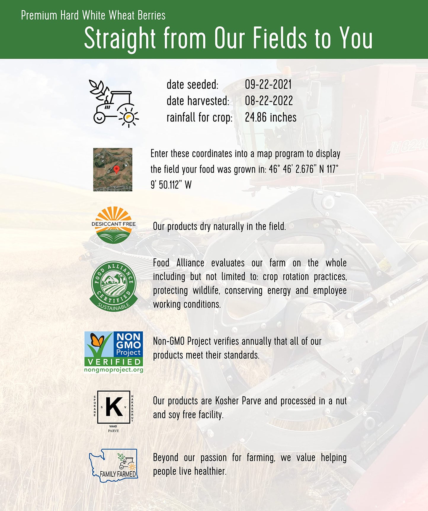 Hard White Wheat Berries | 15 Lbs | 3 Pack | Family Farmed In Washington State | Non-Gmo Project Verified | Kosher
