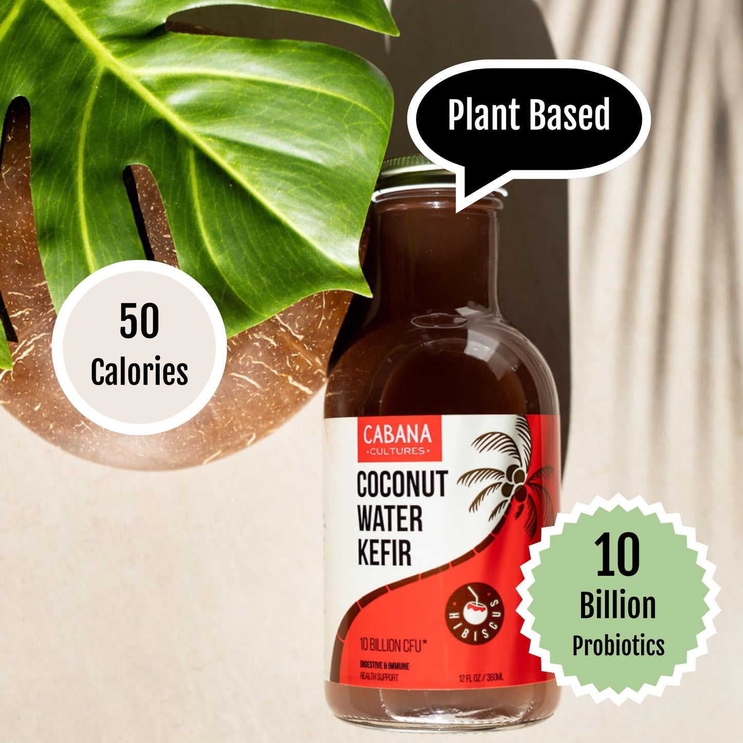 Cabana Cultures Probiotic Coconut Water Kefir, Vegan, Hydration & Electrolytes, 12 Fl Oz (Pack of 12)