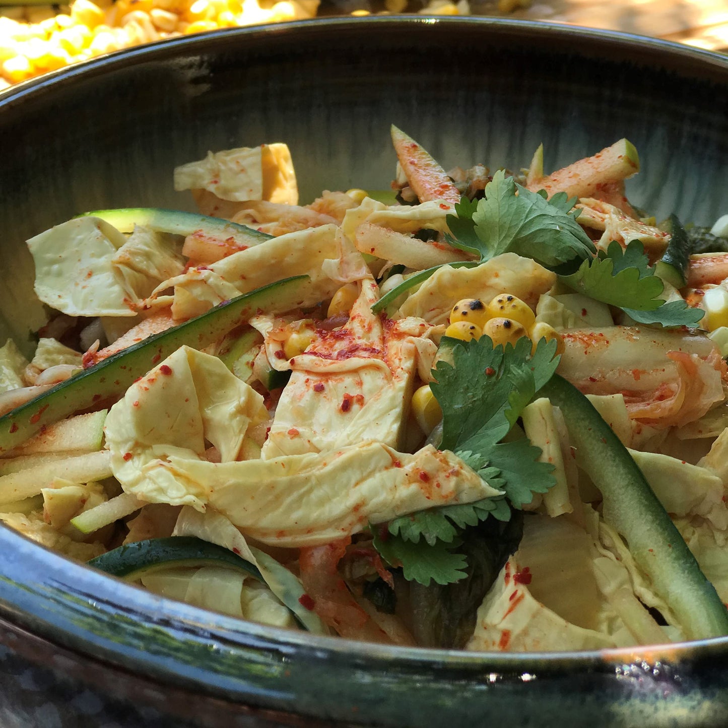 Hodo Tofu Skin | Beancurd Skin | Tofu Sheets | 35g Protein per package | Organic | Yuba Sheets