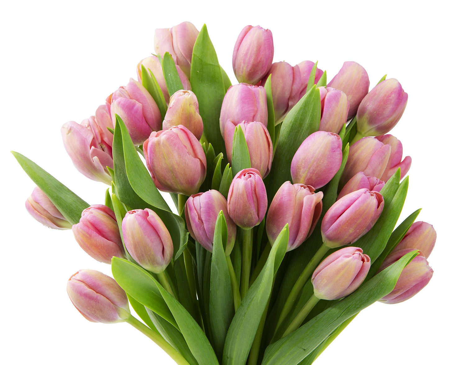 Blooms2Door Flowers - Mothers Day Collection - 30 Pink Tulips - Farm-Fresh Flowers - Gift for Birthday, Anniversary, Thank You