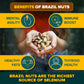 Urban Platter Exotic Raw Brazil Nuts | 3.53 Oz (100G) | Natural, Organic, Fresh, Shelled & Unsalted | Crunchy, Delicious & Healthy Party Snack | Ideal For Gift Giving, Dessert Or Baking