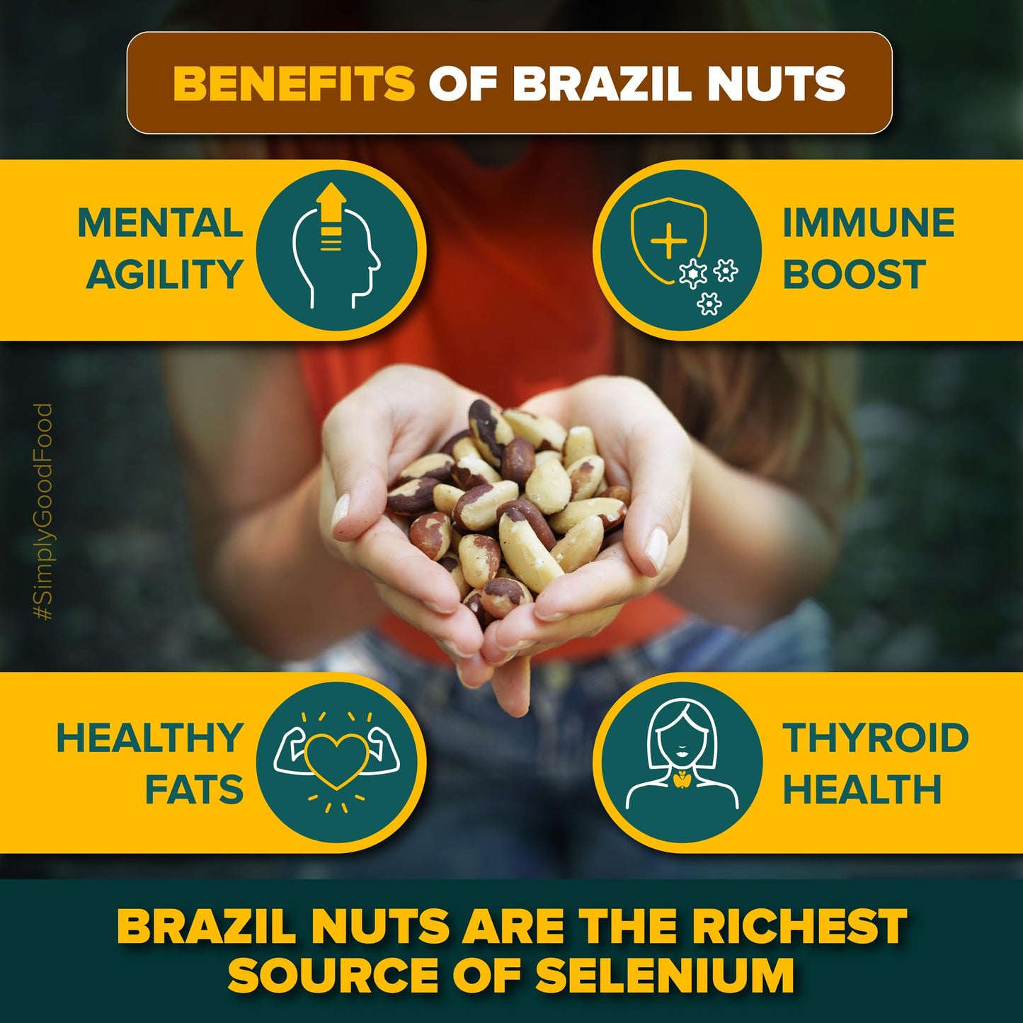 Urban Platter Exotic Raw Brazil Nuts | 3.53 Oz (100G) | Natural, Organic, Fresh, Shelled & Unsalted | Crunchy, Delicious & Healthy Party Snack | Ideal For Gift Giving, Dessert Or Baking