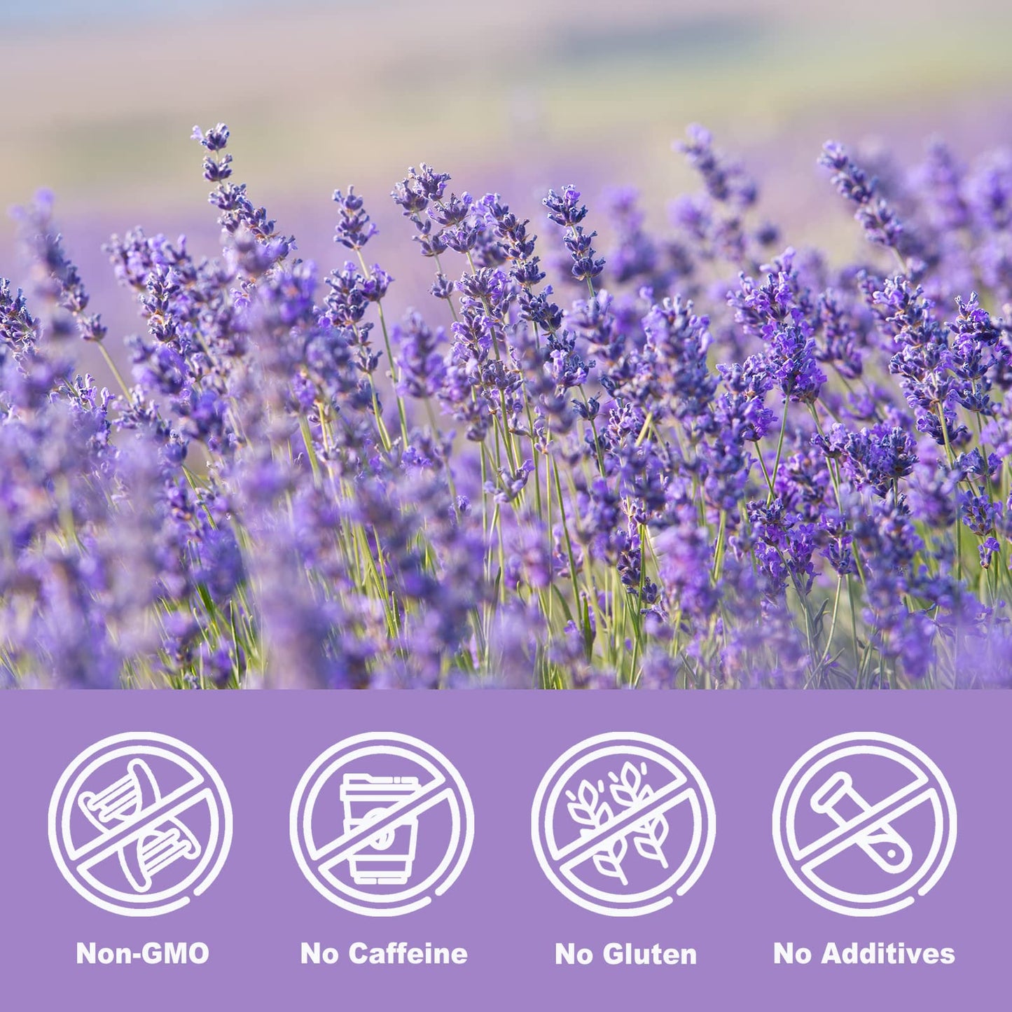 Olvvla - Dried Lavender Flowers - 5Oz/142G - Fragrant Food-Grade Lavender Buds - Perfect For Tea, Baking, Lemonade, Relaxing, Sl