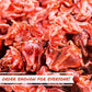Its Delish Dried Candied Hibiscus Flowers, 1.1 lb Bulk Bag, Vegan & Kosher Edible Flowers for Cocktail Garnish