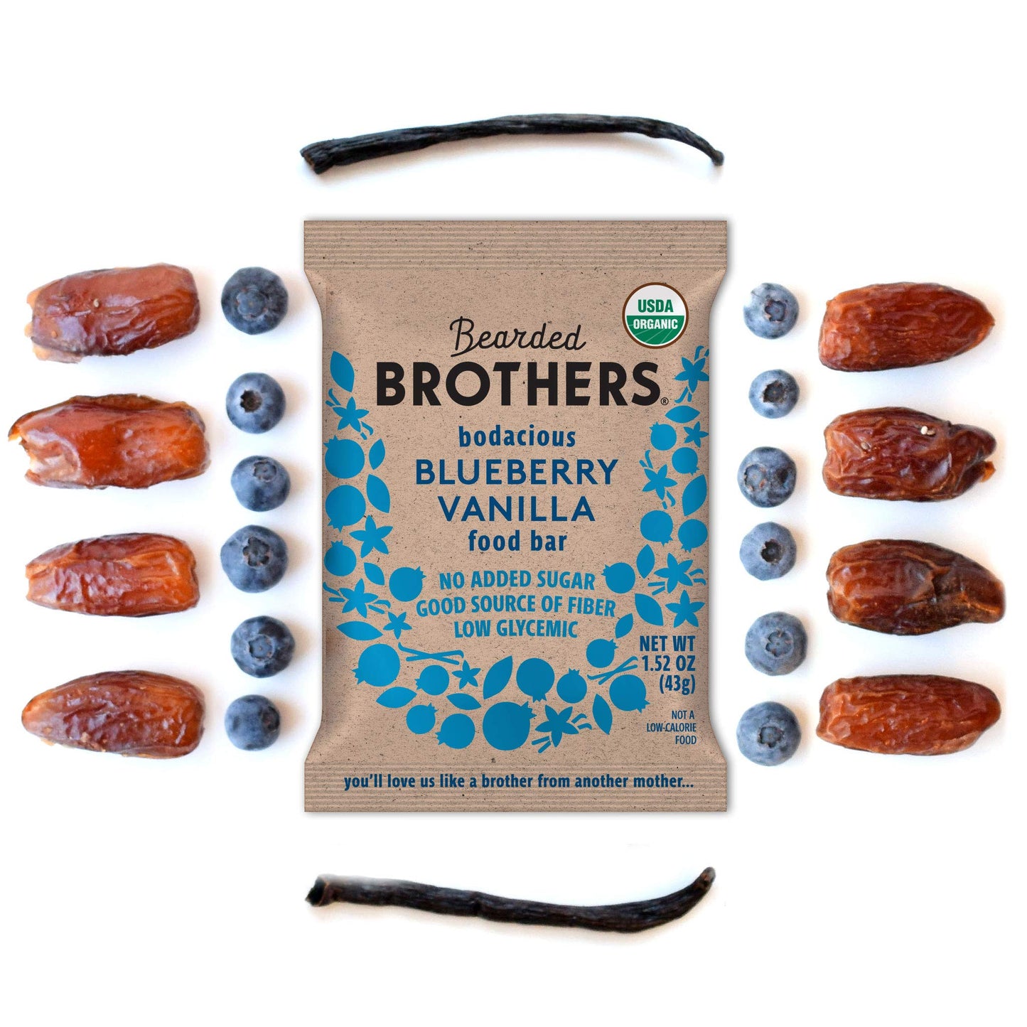 Bearded Brothers Organic Vegan Protein Energy Bars, Blueberry Vanilla, Gluten Free, 12 Count