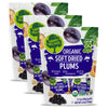 Happy Village Organic Soft Dried Prunes (Plums) On the Go - 3 Bags (15 Individual Portion Packs) | ORGANIC, NON-GMO, GLUTEN-FREE