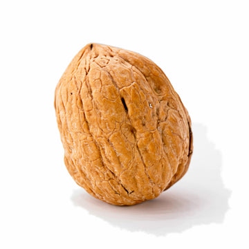 Crazy Nuts | California Grown Whole Walnuts In Shell  5lb | Raw Walnuts Whole Bulk  Nuts in Shells for Squirrels