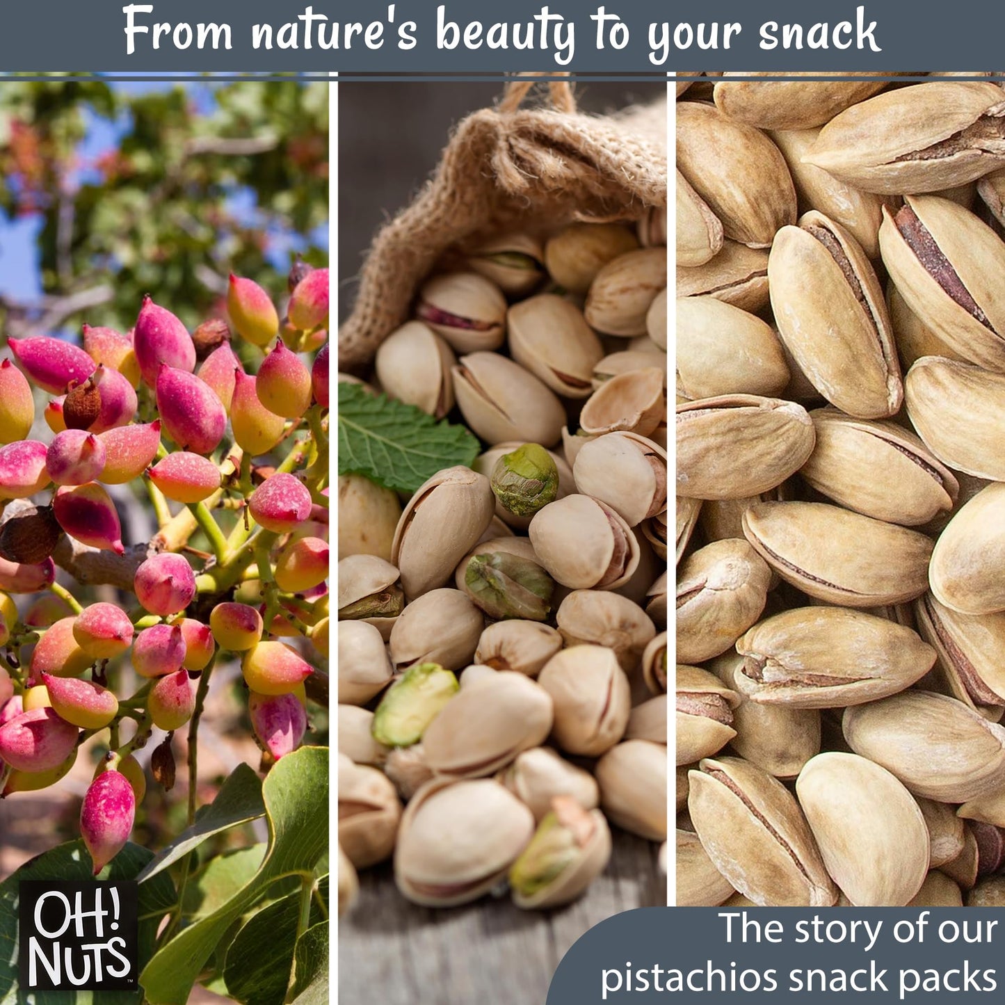 Oh! Nuts 2 LB Specialty Pistachios Finely Salted | Imported Turkish Antep Pistachios Roasted and Lightly Salted (Package May Var