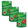 Karen's Naturals Freeze-Dried Strawberries, 1.5oz, Pack of 3 - Flavor Packed Freeze Dried Fruit Snack, Crunchy Strawberries, Hea