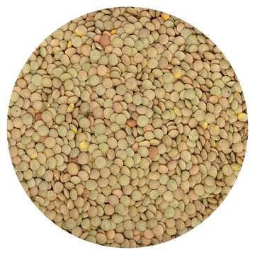 Hampton Distribution Green Lentils, 4 Pound Bulk Bag, 64 Ounce, Pack of 1