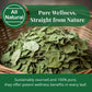 Akshit Moringa Leaves, Dried Loose Leaf Tea, Non-GMO, 2.6 oz