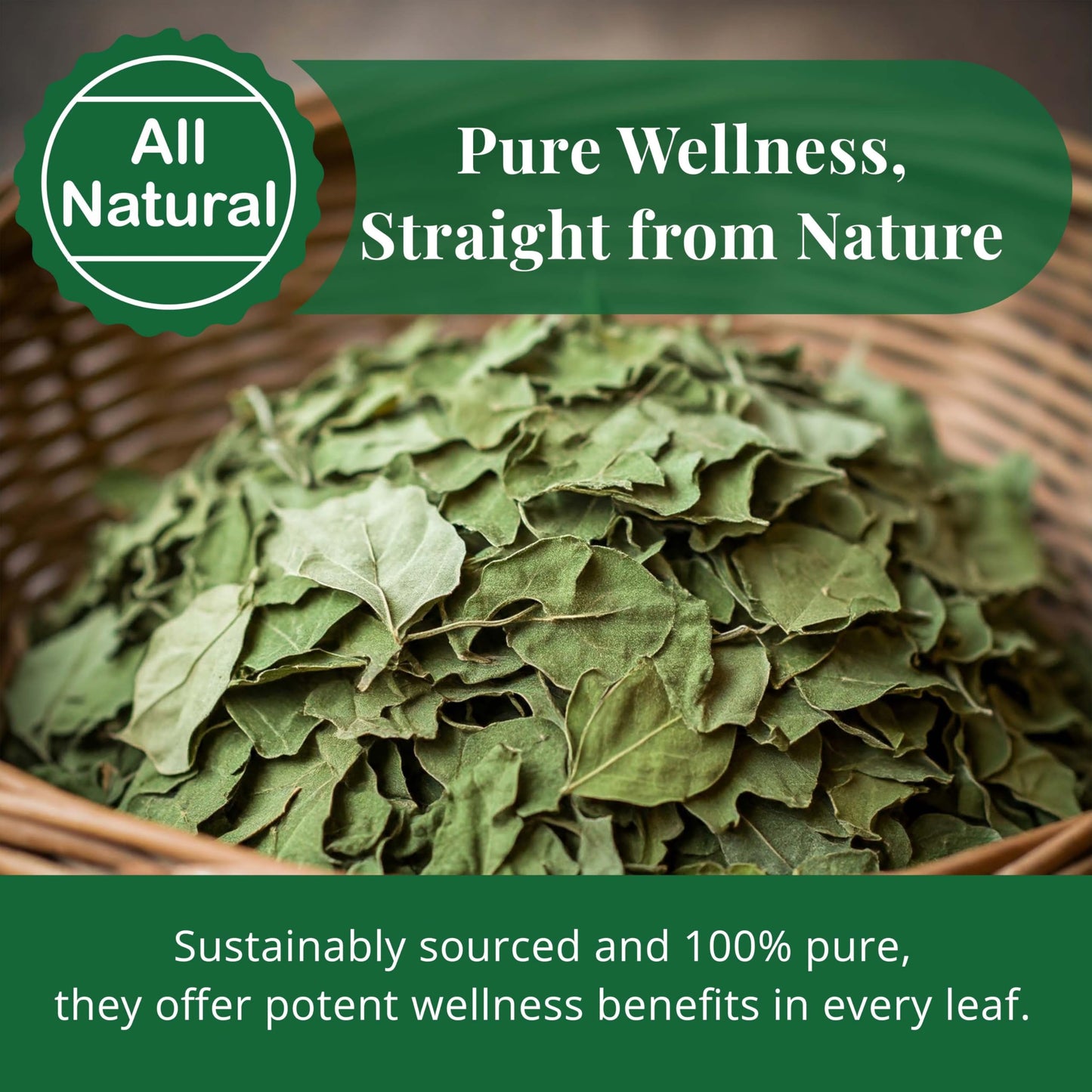 Akshit Moringa Leaves, Dried Loose Leaf Tea, Non-GMO, 2.6 oz
