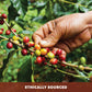 Java Planet - Cinnamon And Vanilla Organic Coffee Beans Infused With Organic Flavoring, Fair Trade, Medium Dark Roast, Arabica G