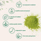 Organic Matcha Green Tea Powder, 2 Pound (32 Ounce) | Culinary Grade, Unflavored, First Harvest Authentic Japanese Origin, 100%