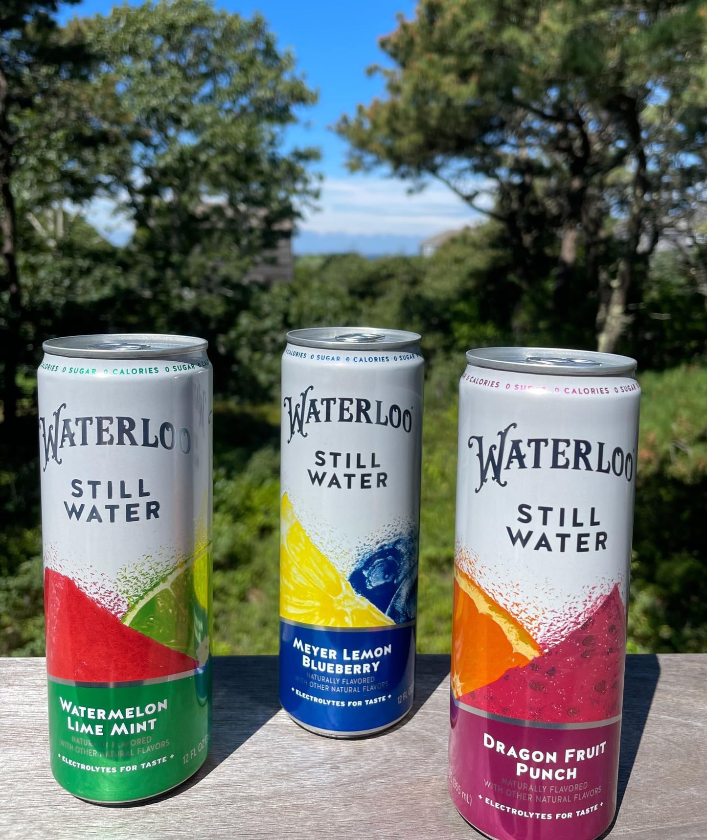 Waterloo Still Water, Meyer Lemon Blueberry | Naturally Flavored Purified Water | 12 Fl Oz Cans (Pack of 12) | Zero Calories | Z