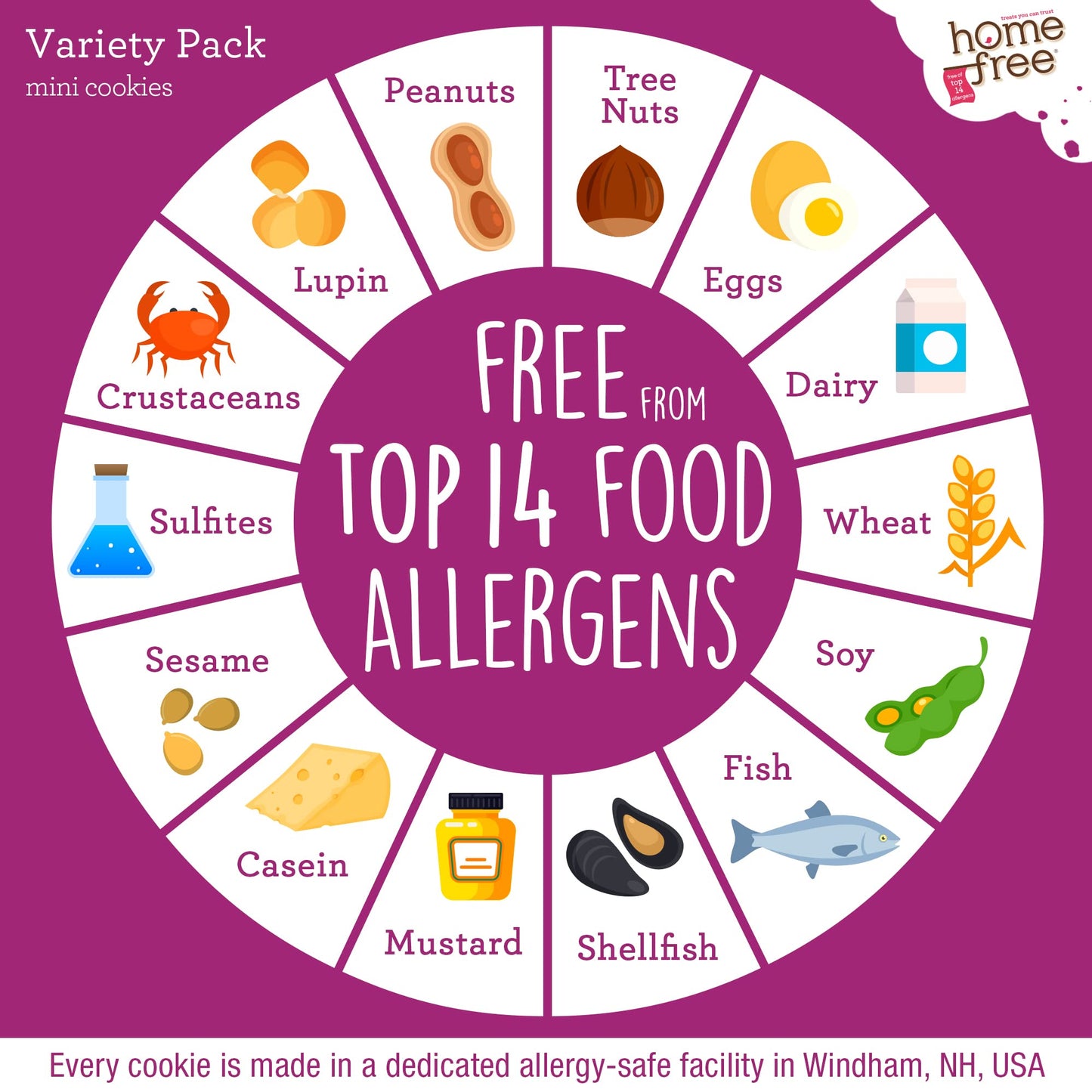 Homefree Treats — Vegan Cookies Variety Pack – Allergy Safe School Snacks – Peanut Free, Gluten Free, Egg Free, Dairy Free – Yummy Crunchy Cookie Assortment, Kosher Pareve (6 Count)