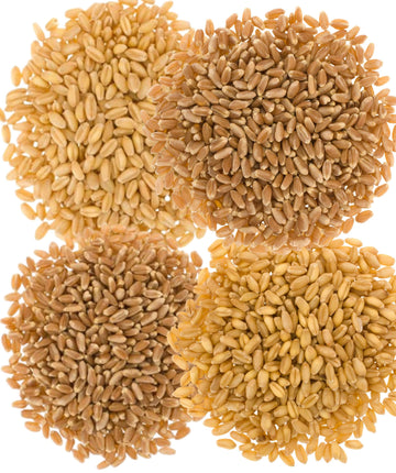 Palouse Brand Wheat Berries | Hard Red Winter, Hard Spring, Soft White | 20 lb Variety Pack | Non-GMO, Kosher, USA Grown