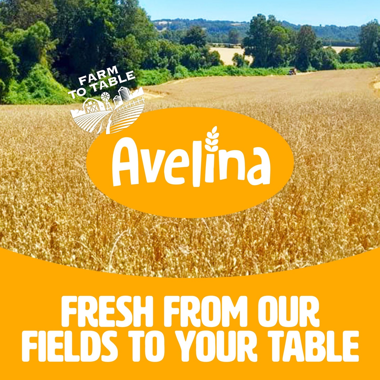 Avelina Gluten Free Granola Honey & Almonds - Healthy Oatmeal-Based Cereal - Kosher, Non-Gmo - (12.3 Oz, 4-Pack)