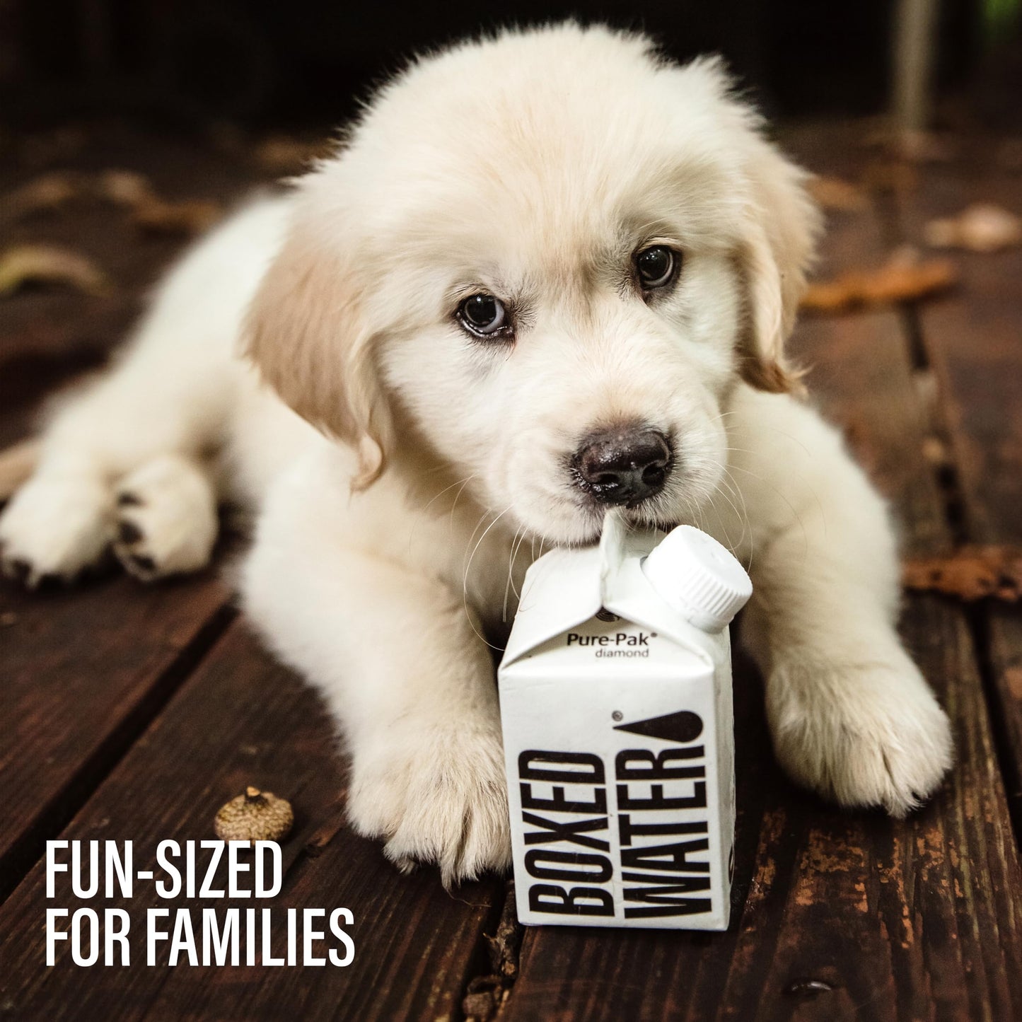 Boxed Water 8.5 oz. (24 Pack) - Purified Drinking Water in 92% Plant-Based Boxes, 100% Recyclable, BPA-Free, Refillable Cartons,