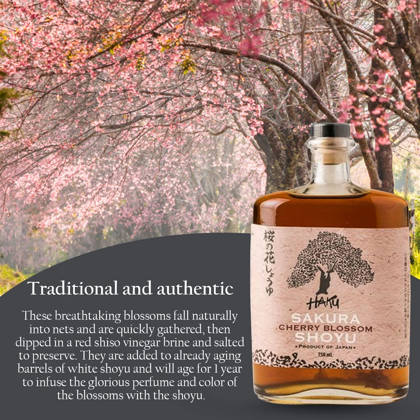 HAKU Sakura Cherry Blossom Soy Sauce - Handmade, Light, Gourmet Umami, 750 ml (25.36 Fl Oz)