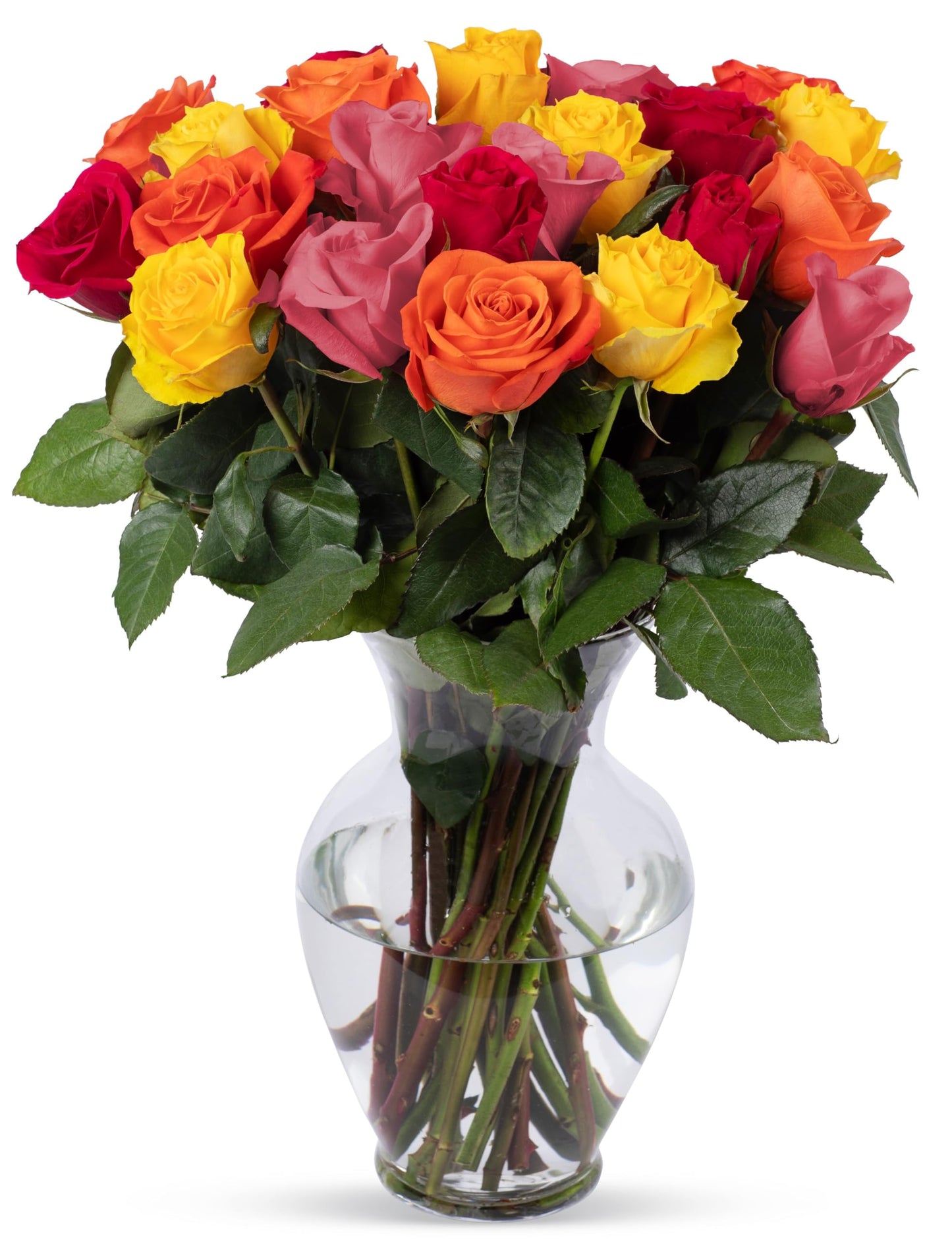 Benchmark Bouquets, 24 Stem Rainbow Roses, Glass Vase Included, Gift Fresh Flowers For Birthday, Anniversary, Get Well, Sympathy