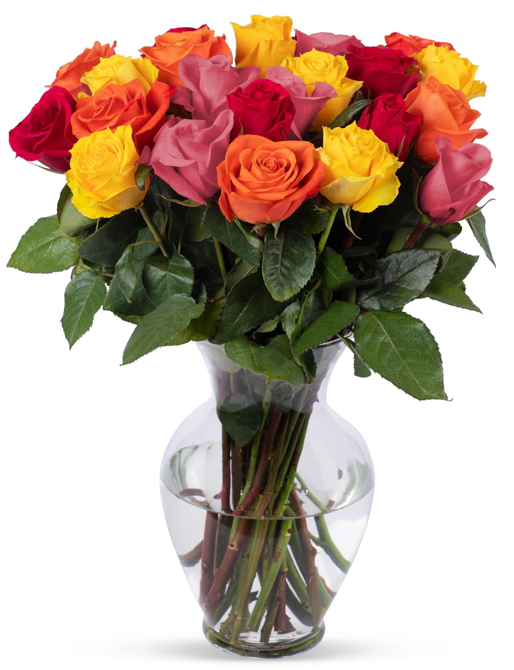Benchmark Bouquets, 24 Stem Rainbow Roses, Glass Vase Included, Gift Fresh Flowers For Birthday, Anniversary, Get Well, Sympathy