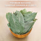 Tearelae - Soursop Leaves Tea - 300+ Premium Soursop Graviola Dried Whole Leaves - Hojas De Guanabana - Country Of Origin Thaila