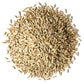 Food to Live Organic Rye Berries, Non-GMO, Kosher, Raw, 5 Pounds, Bulk Seeds, USA