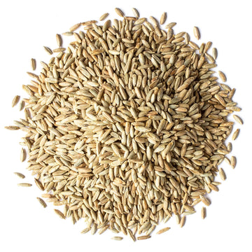 Food to Live Organic Rye Berries, Non-GMO, Kosher, Raw, 5 Pounds, Bulk Seeds, USA