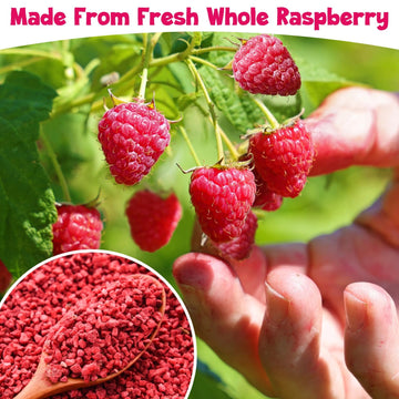Premium Freeze Dried Raspberries Pieces - 3.7Oz/105G Pure Dried Raspberries, Made From Whole Fresh Raspberries, No Sugar Added,