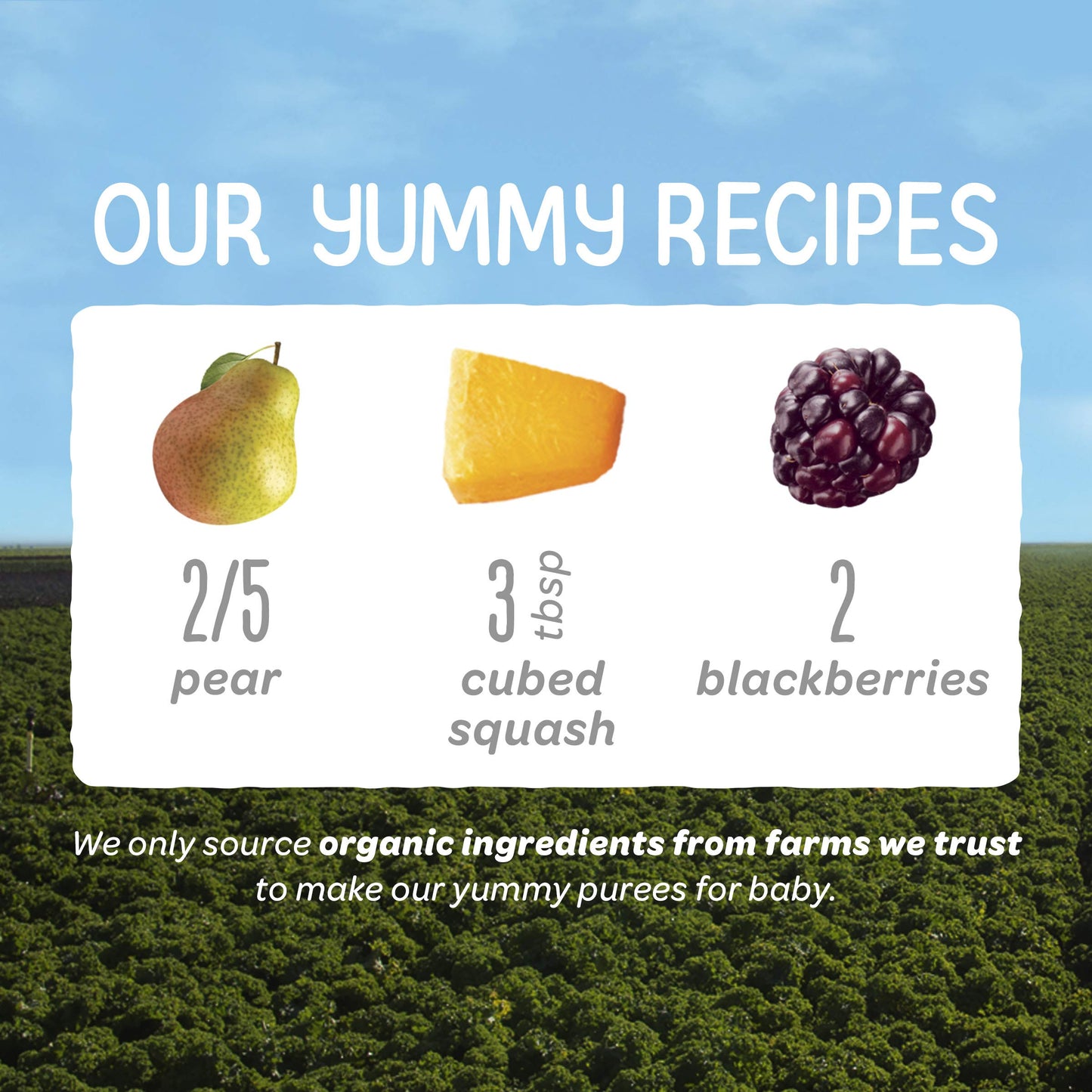Happy Baby Organics Clearly Crafted Stage 2 Baby Food, Pears, Squash & Blackberries, 4 Ounce Pouch (Pack Of 16)