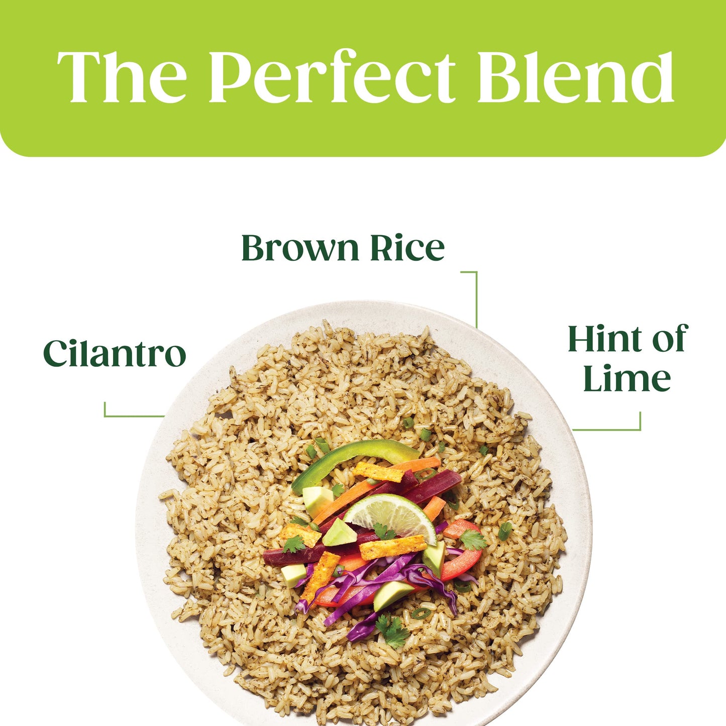 Seeds Of Change Organic Brown Jasmine Rice with Cilantro & A Hint Of Lime, Good Source of Fiber, No Artificial Ingredients or Pr