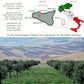 Entimio Ardente +600 Mg/Kg Polyphenol Rich Organic Extra Virgin Olive Oil, New 2024-2025 Early Harvest Italian Olive Oil From Si