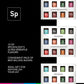 Spiceology Ultimate Rub Collection - 12 Gourmet Spices Set for Grilling & BBQ
