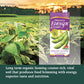 Eden Organic Edensoy Soymilk, Extra, 32 oz, Pack of 6