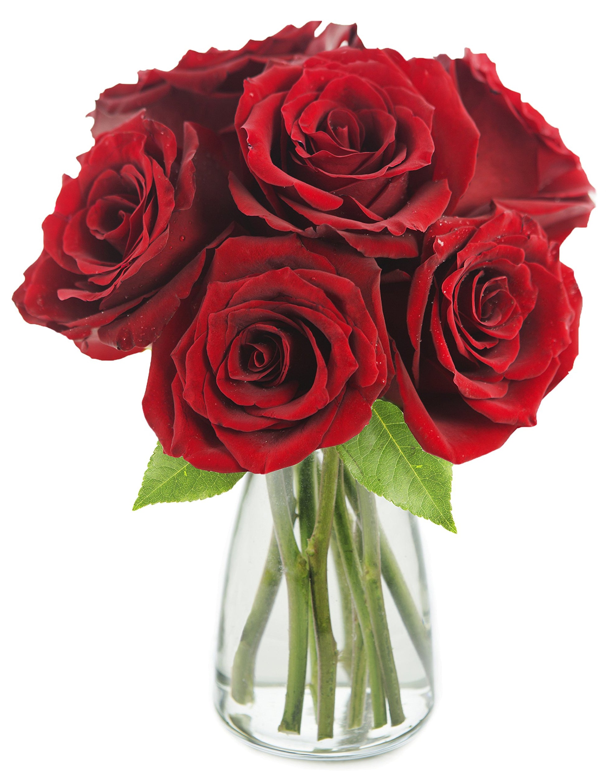 KaBloom Flowers - Mothers Day Collection - The Romantic Classic Red Rose Bouquet of 6 Fresh Cut Red Roses (Farm-Fresh) with Vase|Gift for Birthday Valentine  Mothers Day Fresh Flowers