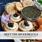 OM Caviar Kaluga Hybrid Caviar 500g - Sustainable River Beluga Alternative - enhanced Large Grain - Rich Buttery Flavor - Farm-Raised Caviar Kaluga  Vacuum-Sealed Fresh