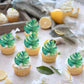 Rssta i Edible Leaves Cupcake Toppers, Green Turtle Shell Design, 60 Pack for Baby Shower, Wedding, Birthday Party Decorations