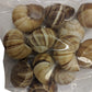 Premium Escargot Wild Burgundy Snails - Rated Number One - Best For Escargot Recipes, Various Sizes  (1 Dozen Shells)